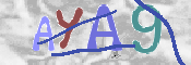 CAPTCHA-Bild